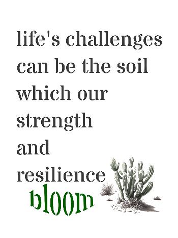 life's challenges proverb