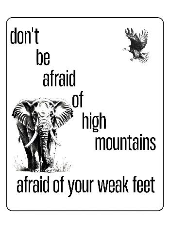 elephant and positivity proverb